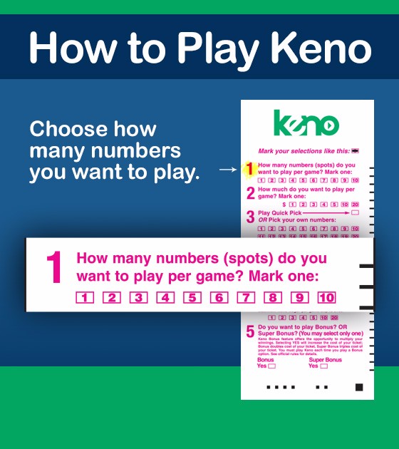 Choose how many numbers you want to play.