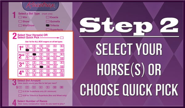 Step 2: Select your horse(s) or choose quick pick