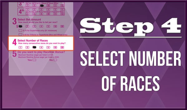 Step 4: Select number of races