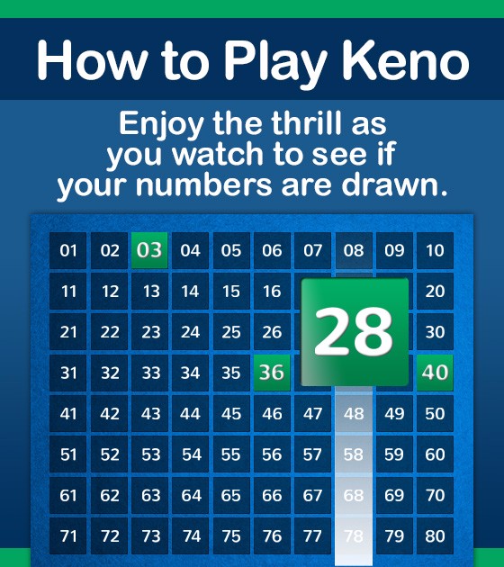 Enjoy the thrill as you watch to see if your numbers are drawn.