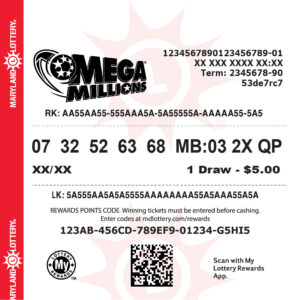 Mega Millions Sample Play Slip 2025