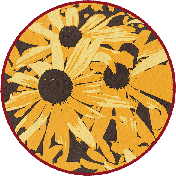 photo of black eyed susans