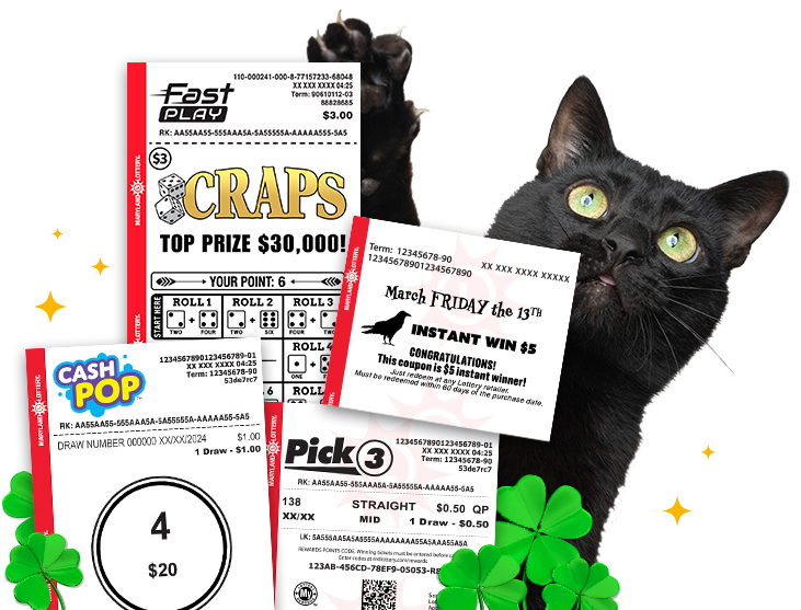 black cat with lottery play slips