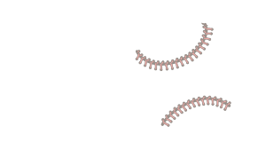 illustration of baseball